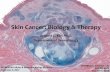 Skin Cancer: Biology & Therapy - Columbia University · 12/6/2017 6 Skin Cancer on the Rise The Surgeon General’s Call to Action to Prevent Skin Cancer • Between 1976-1984 and