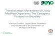 The Cartagena Protocol on Biosafety · Introduction to the Cartagena Protocol on Biosafety • Cartagena Protocol on Biosafety is an international, legally-binding treaty. – Only
