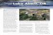Featured Lake Lake Abert, OR › ... · 2018-09-24 · Winter 2011 / LAKELINE 47 Featured Lake Lake Abert, OR Douglas W. Larson and Ron Larson Salt Lake in the High Desert A mong