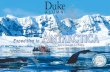 Antarctica - Duke · Antarctica’s spectacular illuminations ... blue-eyed shags and gentoo penguins. Gain insight into the lives of past explorers ... Devil’s Gorge, the highest