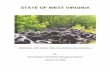 STATE OF WEST VIRGINIA Tire Collection an… · This Proposal for Scrap Tire Collection and Disposal addresses the whole tire problem in the state of West Virginia and a ttempts to
