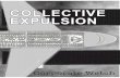 ColleCtive expulsion - Corporate Watch · de facto policy of ‘collective expulsion’ and must, therefore, be prohibited. Even without this argument, a number of procedural issues