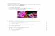Colourful Loops: Introduction to Quantum Chromodynamics and … · 2018-08-31 · Introduction to Quantum Chromodynamics and Loop Calculations Gudrun Heinrich Max Planck Institute