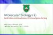 Molecular Biology (2) - Doctor 2016 - JU Medicine · 2018-08-11 · Molecular Biology (2) Restriction endonucleases, RFLP, and gene cloning Mamoun Ahram, PhD Second semester, 2017-2018.