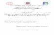 COMPUTATIONAL ALGEBRAIC GEOMETRY: APPLICATION TO …algant.eu/documents/theses/lakuntza.pdf · 2015-07-13 · 4 Asier Lakuntza Plazaola - Computational Algebraic Topology: Application