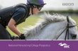 National Horseracing College Prospectus · A recommendation from the trainer or a CV proving sufficient experience must accompany an application. Trainers’ Course The Trainers’