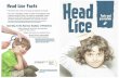 Head lice Facts - Brevard Public Schools â€؛ cms â€؛ lib â€؛ FL02201431... Head lice Facts â€¢ Head