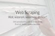 Web Scraping - SAI Scrapin… · Wat is web scraping? 5 Web scraping = web harvesting = web data extraction = web data mining Het bouwen van een software agent om gegevens van het