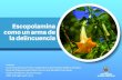 Universidad anuela eltrán - Pregrados - Posgrados · en Colombia como burundanga (esta última puede estar en mezcla con otras sustancias), que se caracteriza por ser una sustancia