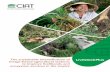 The sustainable intensification of LivestockPlus forage ... · 2 LivestockPlus The sustainable intensification of forage-based agricultural systems to improve livelihoods and ecosystem
