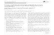 Evidence-based selection of training compounds for use in the … · 2017-08-23 · 1 3 Arch Toxicol (2016) 90:2979–3003 DOI 10.1007/s00204-016-1845-1 REVIEW ARTICLE Evidence‑based