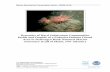 Dynamics of Hard Substratum Communities Inside and Outside ... · Marine Sanctuaries Conservation Series ONMS-10-05 U.S. Department of Commerce National Oceanic and Atmospheric Administration