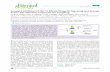 Covalent Inhibition of Ubc13 Aﬀects Ubiquitin Signaling ...gloverlab.biochem.ualberta.ca/secondarypages/publications/pdf/glov… · Covalent Inhibition of Ubc13 Aﬀects Ubiquitin