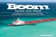 Goes the Reef - BankTrack€¦ · Boom Goes the Reef | March 2012 01 Goes the Reef Australia’s coal export boom and the industrialisation of the Great Barrier Reef. 1 Boom Goes