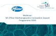 Webinar: SFI-Pfizer Biotherapeutics Innovation Award ...chiefscientificadviser.ie/...pfizer-biotherapeutic/... · Objectives Create new collaborations between Pfizer and academics
