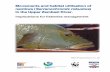 nembwe( Serranochromis robustus intheUpperZambeziRiver. · 2002-11-19 · (Serranochromis robustus) in the Upper Zambezi River. Implications for fisheries management. - NINA Project