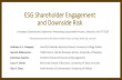 ESG Shareholder Engagement and Downside Risk...ESG Shareholder Engagement and Downside Risk European Commission Conference ‘Promoting Sustainable Finance’, Brussels, Jan 9th 2019