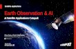 Earth Observation & AI - UN-GGIMggim.un.org/unwgic/presentations/2.5_Asimina_Syriou.pdf · 50 cases Challenges relevant to AI AgriTech Growth Disease, Logistics, Intelligence/ Compliance