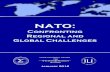 Disclaimer - Potomac Institute for Policy Studies · potential threat against any Ally.”10 In sum, the Wales declaration reflects NATO’s response to the overall security threats