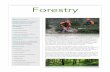 Forestry - Highground › wp-content › uploads › 2017 › 04 › Forestry.pdfFrom chainsaw operators, to tree planters, to heavy vehicle drivers, the Forestry industry is hiring