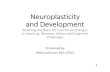 Neuroplasticity and Development › wp-content › ... · development and brain health, including genetics, physiology, environmental exposure, and experience. That the brain is a