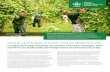 Landscape approaches to tackle climate change, and achieve ... · Landscape approaches to tackle climate change, and achieve sustainable development and food security Forests, trees