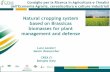 Natural cropping system based on Brassicas biomasses for plant management … · 2018-12-12 · Natural cropping system based on Brassicas biomasses for plant management and defense.
