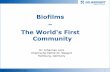 Biofilms The World‘s First Community › wp-content › ...SVN-Congress, 18 March 2016 32 Study of compliance regarding reprocessing steps 45 Regarded performance of reprocessing