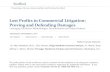 Lost Profits in Commercial Litigation: Proving and ...media.straffordpub.com › products › lost-profits-in... · 9/25/2019  · Lost Profits in Commercial Litigation: Proving and