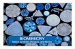 BIOMIMICRY, Nature as Model, Measure, and Mentor · Biomimicry is a new scienceBiomimicry is a new science that studies Nature’s models and then imitates or takes inspiration from