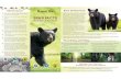 Know the Bear Facts Brochure - New JerseyBear Facts for Camping Bear Facts for Homeowners Consider installing electric fencing to protect crops, beehives, livestock, orchards, gardens,