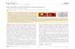 Nanoepitaxy Using Micellar Nanoparticlesroldan/publications/2011_Behafarid_Nanol.pdf · Nanoepitaxy Using Micellar Nanoparticles F. Behafarid and B. Roldan Cuenya* Department of Physics,