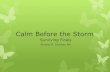 Calm Before the Storm€¦ · Calm Before the Storm Surviving Finals Alysha M. Stucker, BA. Objectives Learn to cope with stress during finals Learn the power of positive thinking