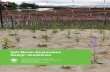 NYC Parks Salt Marsh Restoration Design Guidelines · Salt Marsh Restoration Design Guidelines | NYC Parks | 3 Chapters This document has six sections that encompass a broad range