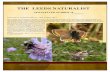 THE LEEDS NATURALIST - WordPress.com€¦ · 10/10/2018  · The Leeds Naturalist Newsletter Winter 2016 Field trip to Ledsham Dale on 10th August 2016 This meeting was attended by