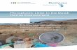 Microplastic Litter in the Dutch Marine Environment · Microplastic Litter in the Dutch Marine Environment 1 Foreword Marine environments all over the world are contaminated with