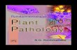 Fundamentals of Plant Pathology - KopyKitab · 2018-10-01 · vii Foreword xix Preface xxi Acknowledgements xxiii 1. Introduction 1–3 2. Scope and Objectives of Plant Pathology