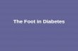 The Foot in Diabetes - Chiropody Podiatry Ireland in Diabetes.pdf · An ABPI should be carried out by an experienced practitioner. Both brachial readings should be taken and the higher