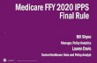 Manager, Policy Analytics Lauren Davis - MHA and Advocacy...Uncompensated Care Costs Year 2: FFY 2014 S-10 Line 30 (Trimmed) ... FFY 2020 S-10 Transition • Phase in of Worksheet