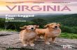 Four-Legged Fun › wp-content › uploads › ... · 2020-04-06 · 2020 TRAVEL GUIDE FOUR -LEGGED FUN Pet-Friendly Places p. 28 SMALL TOWN CHARM Authentically Local p. 10 RELAXING