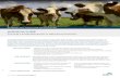 DHI Agriculture OverView Flyer v1 content/dhi/flyers...ecology and ecosystem functions and services. In order to be sustainable, agricultural production must therefore be increased