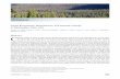 7: Forests · 2018-10-12 · menziesii) forests across the northwestern United States appear to be currently water-limited; under all but the wettest climate projections water limitations