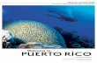 Real Time MasterGuide - Villas de Costa Mar · 2017-09-29 · Your Personal Real Time MasterGuide™ to Puerto Rico ... Put on snorkeling or scuba gear and lower yourself into Puerto