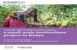 Using the EDM toolkit to analyse impact: a small-scale ... › ... › New › EDM_Kenya_Case_Study_No… · Using the EDM toolkit to analyse impact: a small-scale horticulture project