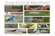 Texas Coast & Big Thicket - Naturalist Journeys › pdf › itineraries › 212...Texas Coast & Big Thicket With Naturalist Journeys & Caligo Ventures Naturalist Journeys, LLC PO Box