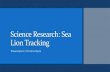 Science Research: Sea Lion Tracking - Holton-Arms · Sea Lion Project Overview Fluid dynamic research within recent years has discovered that (i.e. the way sea lions move through