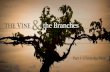 Part 1: Christ the Vine - Amazon Web Services · The Vine and the Branches is an allegory. An investigation of the etymology of our English word allegoryreveals its derivation from