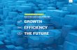 INVESTING AND INNOVATING FOR GROWTH EFFICIENCY THE …s1.q4cdn.com/199638165/files/doc_financials/Annual/2018/04/2017 … · INVESTING AND INNOVATING FOR GROWTH EFFICIENCY THE FUTURE.