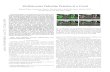 Attribute-aware Pedestrian Detection in a Crowd · Attribute-aware Pedestrian Detection in a Crowd Jialiang Zhang, Lixiang Lin, Yang Li, Yun-chen Chen, Jianke Zhu Senior Member, IEEE,
