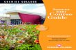 COCHISE COLLEGE · Send documentation through your Cochise College student email to adm@cochise.edu Admissions/Registration at 800-593-9567, (520) 515-5336 Leave a message ALL SUMMER
